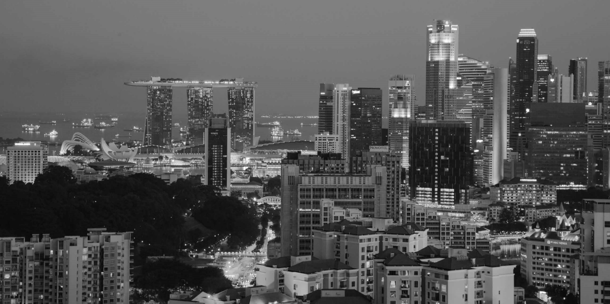 Singapore City Skyline | SG Luxury Condominium for Sale